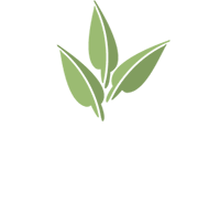 Sage_logo_finalfinalfinal23b